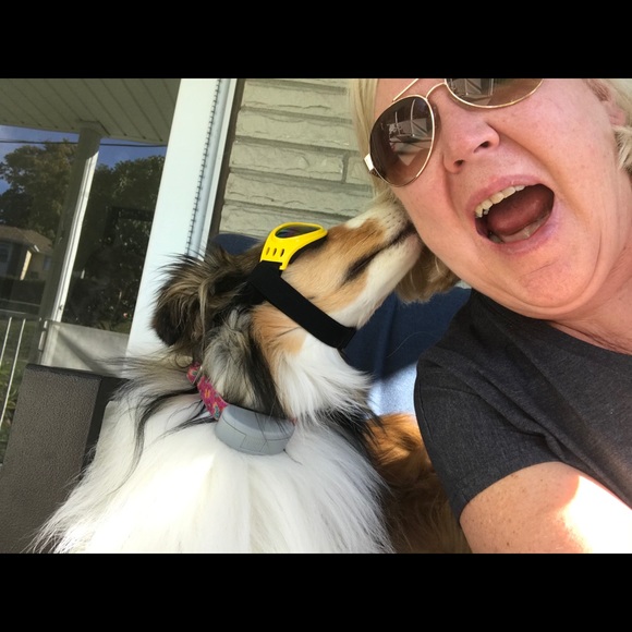 Meet your Posher, Sue - Picture 16 of 16